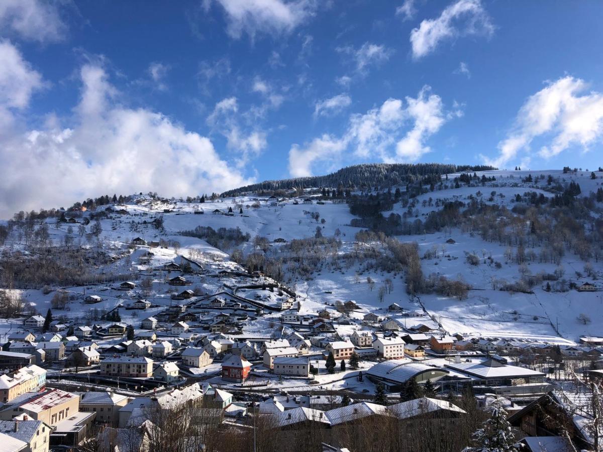 Magnifique Appartement Classe 4 Etoiles Avec Sauna Et Terrasse Dans Chalet La Bresse Exteriér fotografie